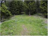 Koprivna (Kumer) - Velika glava (Peca)